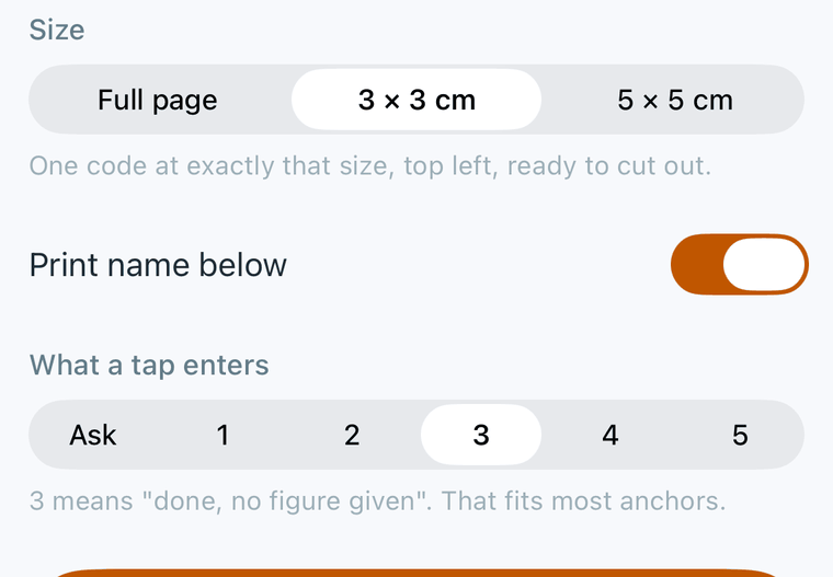 The print screen: the anchor either writes a fixed value or asks when tapped